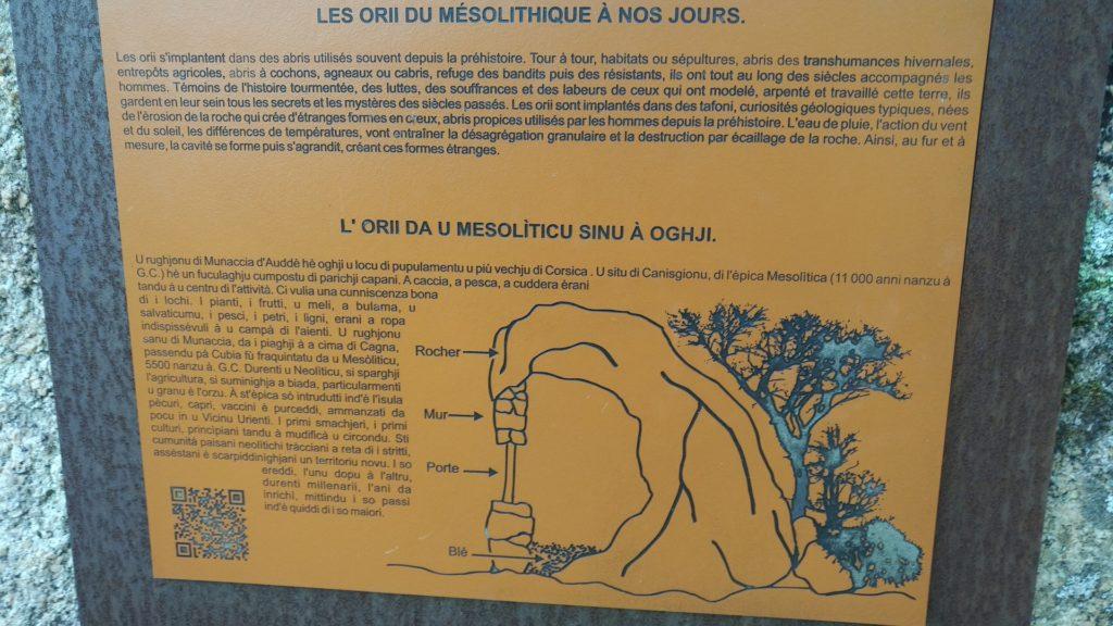 Information text about Orii in Monacia d'Aullène