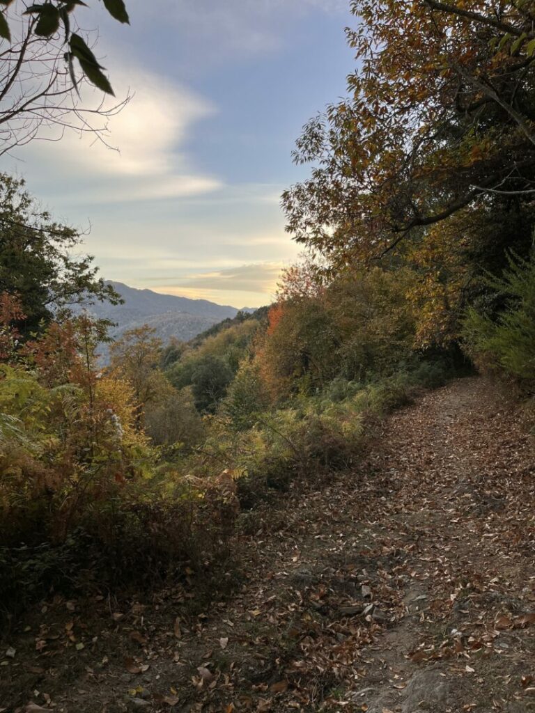 View of the path leading to the place where stand the three Petre Scritte, near Silvareccio in Corsica