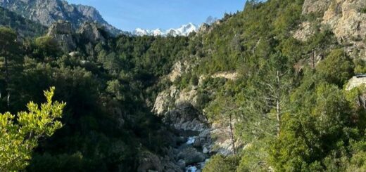 Being a Responsible Tourist in Corsica