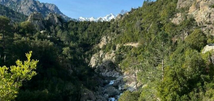 Being a Responsible Tourist in Corsica