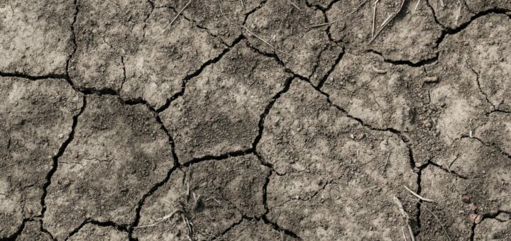 Corsica heatwave - ola de calor en Córcega