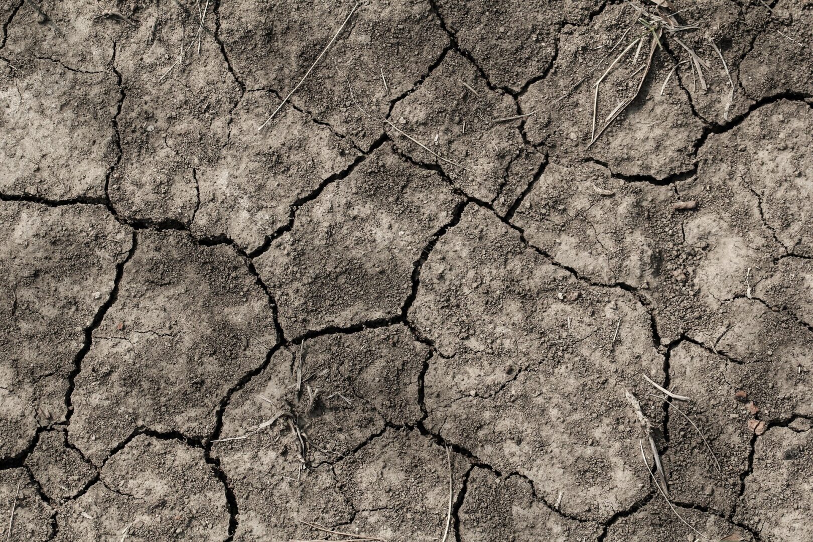 Corsica heatwave - ola de calor en Córcega