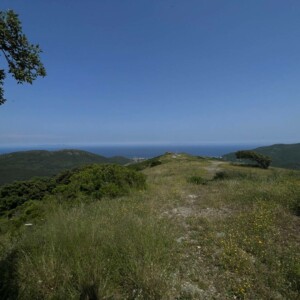 View of the sea from the road leading to Cagnano in Capicorsu